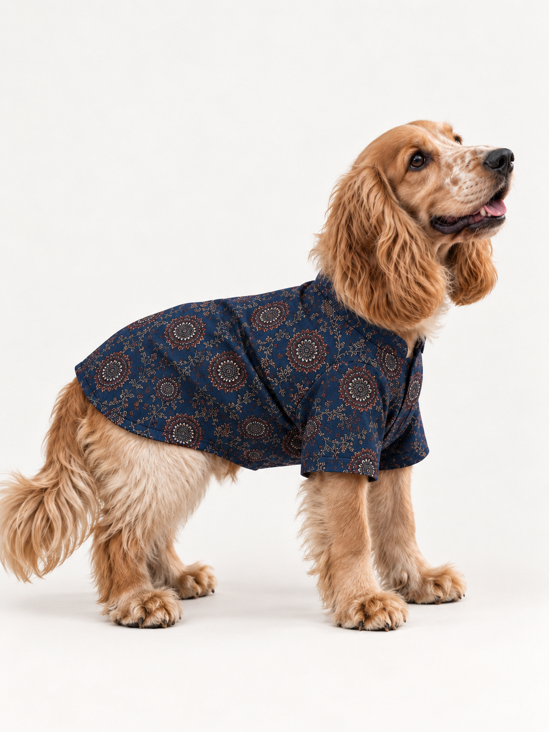 Indigo Ajrakh Shirt on a dog, view 5