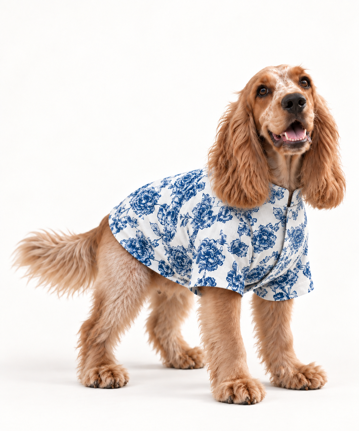 Bloomsbury Blues Shirt on a dog, view 1