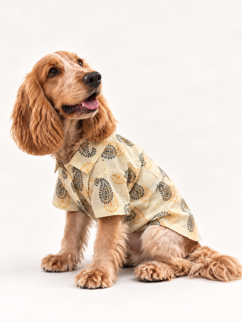 Golden Paisley Shirt - 4.3