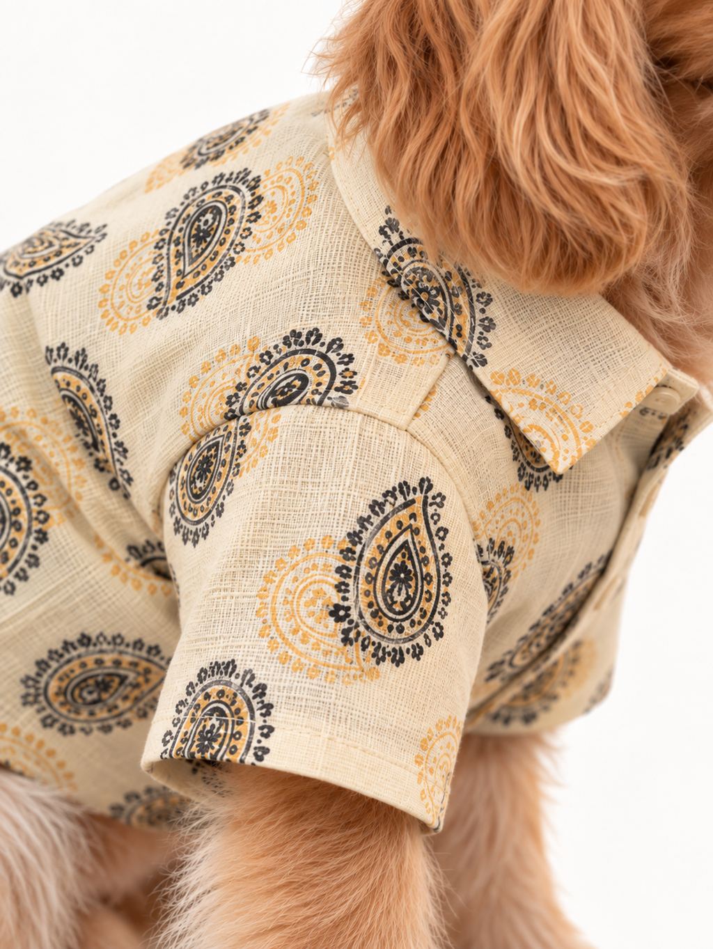 Golden Paisley Shirt - 4.5