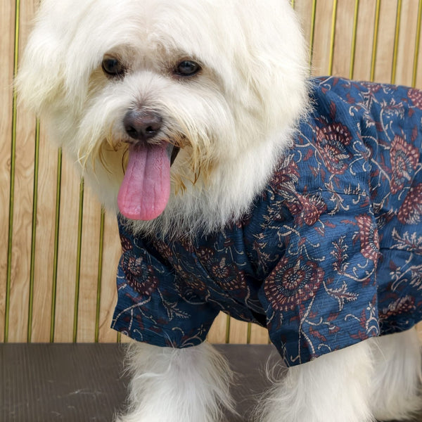 A small white dog standing in the Indigo Ajrakh Shirt