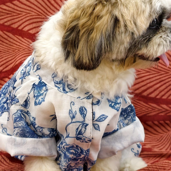 Side view of a Shih Tzu wearing the Bloomsbury Blues Shirt