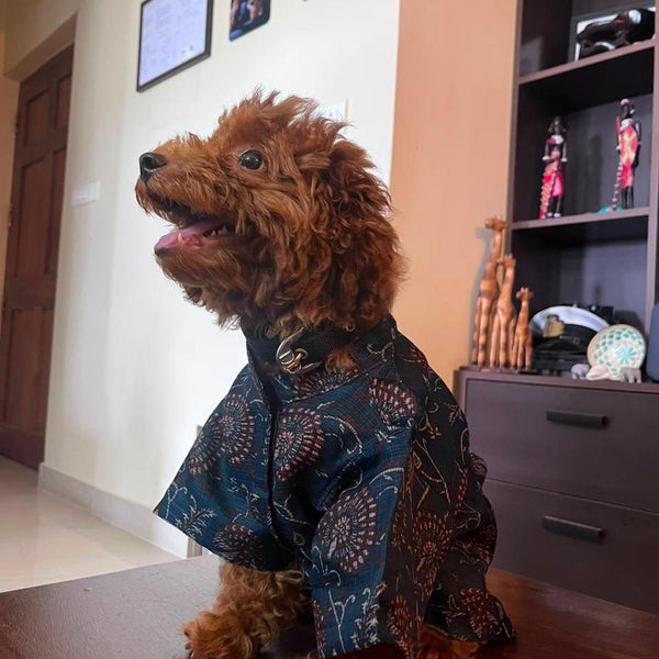 Side view of the Indigo Ajrakh Shirt on a toy poodle