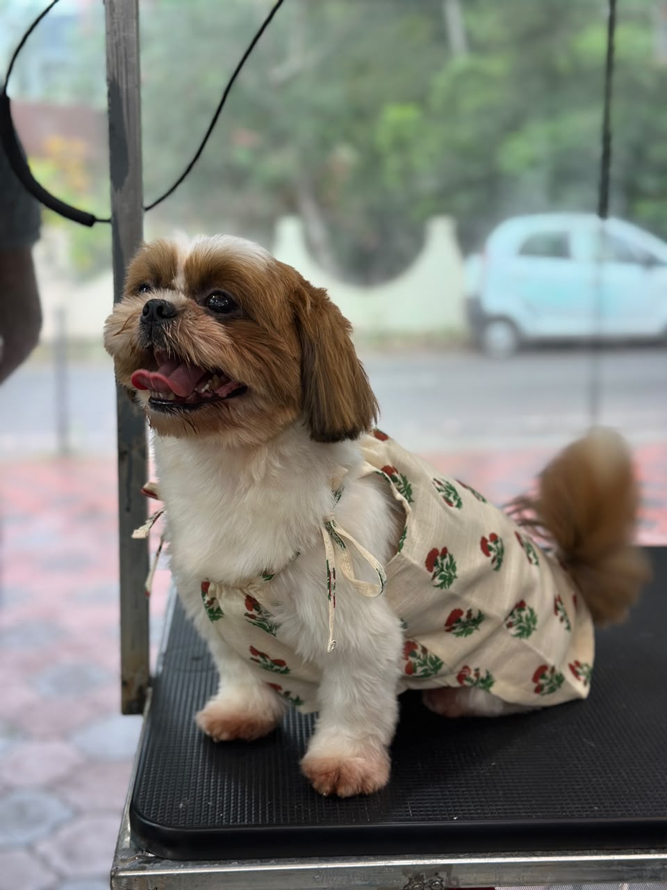 Kira, Mumbai wearing Marigold Kurta