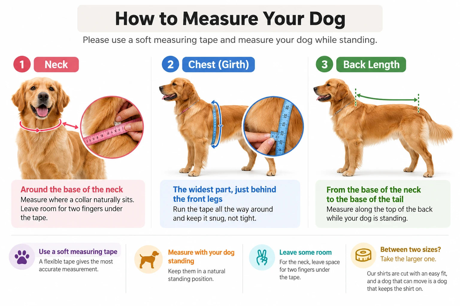 How to measure your dog. One, neck: around the base of the neck where a collar naturally sits, leaving room for two fingers under the tape. Two, chest or girth: the widest part, just behind the front legs, with the tape all the way around, snug but not tight. Three, back length: from the base of the neck to the base of the tail, along the top of the back. Use a soft measuring tape, measure with your dog standing, and if your dog falls between two sizes take the larger one.